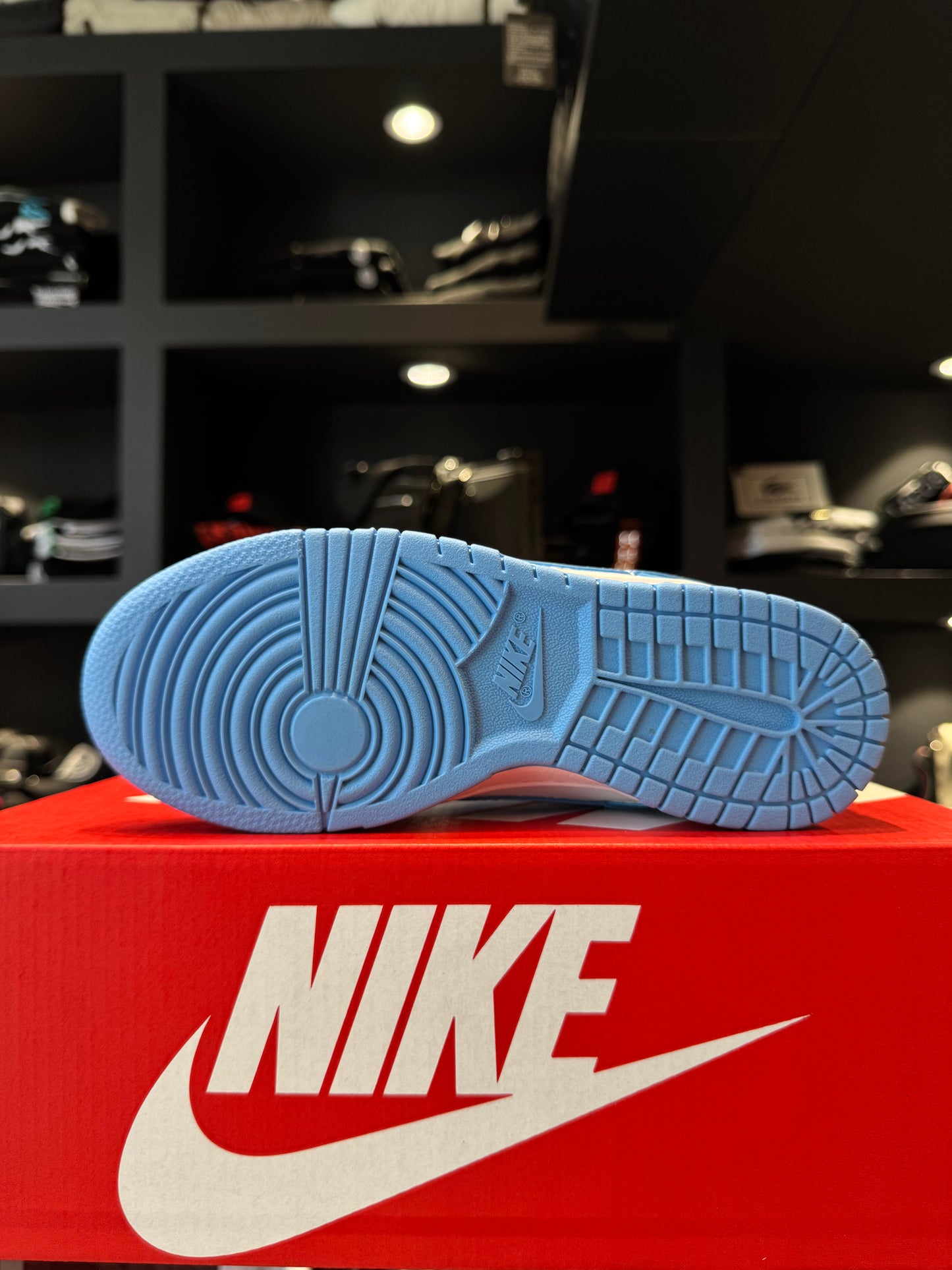Nike Dunk Low University Of Blue