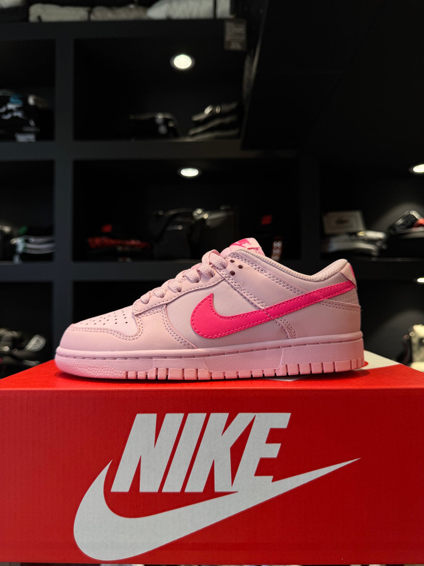 Nike Dunk Low Peach Powder