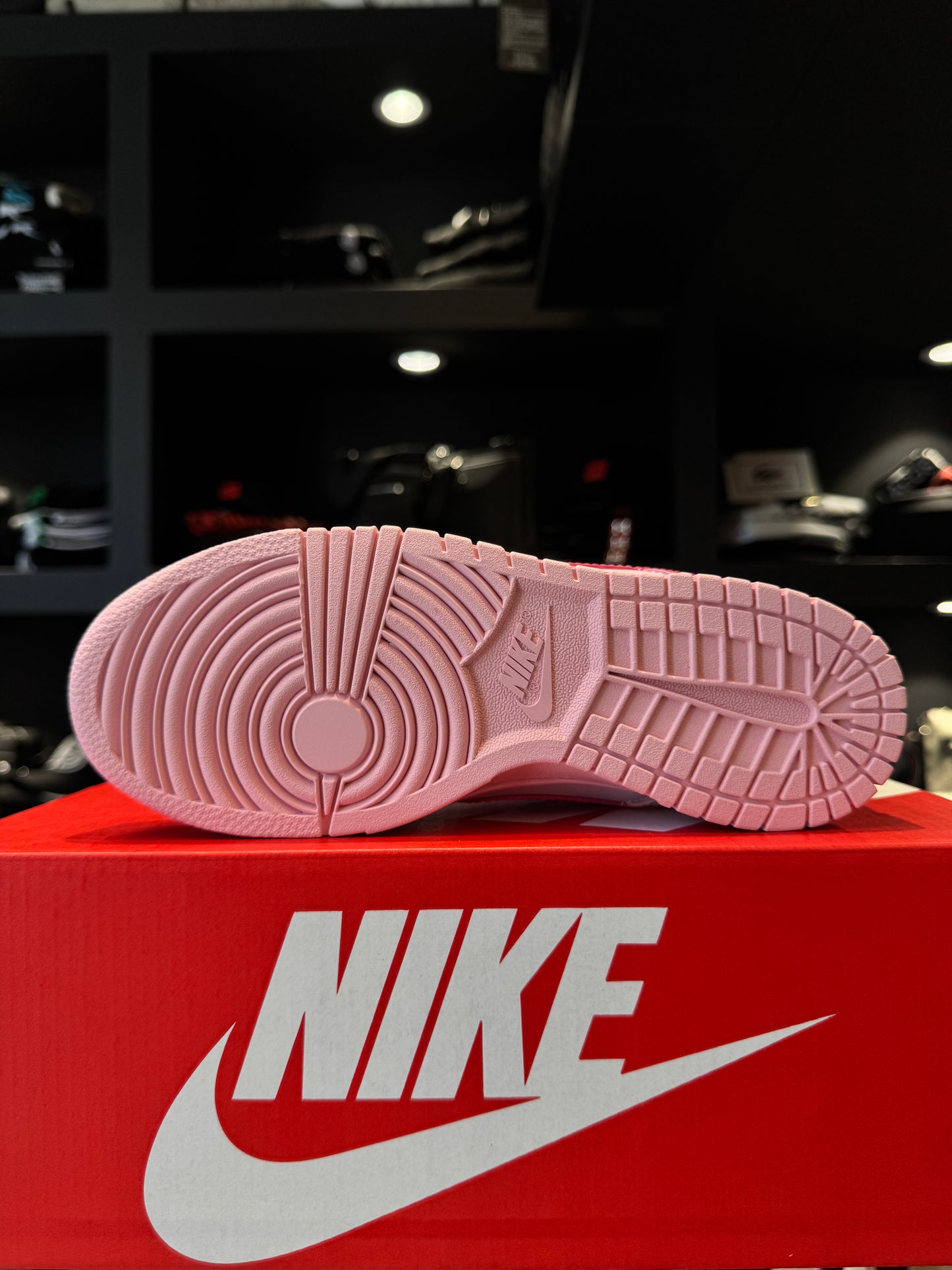 Nike Dunk Low Peach Powder