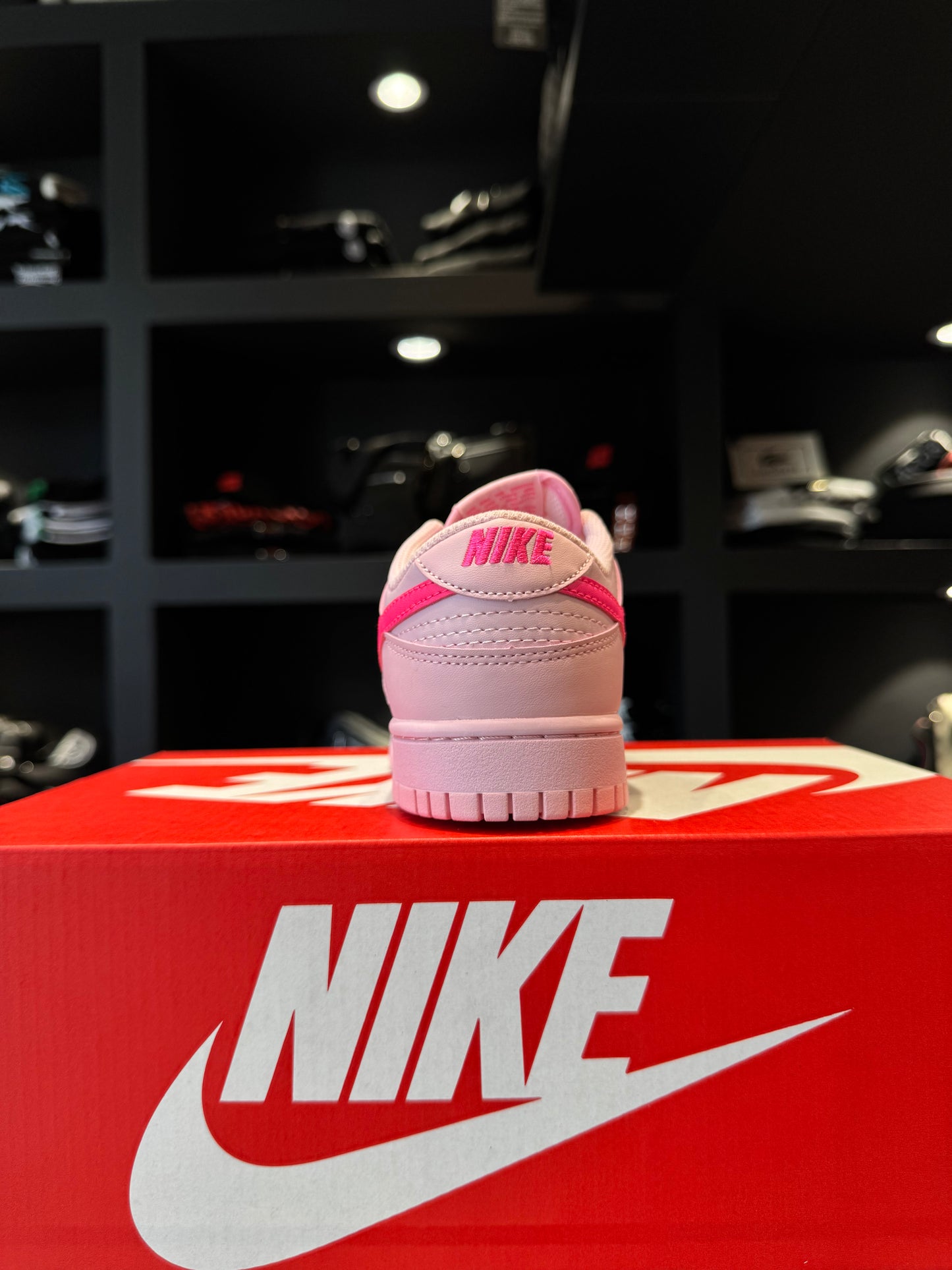 Nike Dunk Low Peach Powder